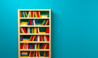 比翼连枝当日愿是什么意思 比翼连枝当日愿的含义