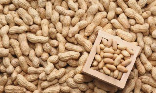 梦见买花生是什么意思 梦见买花生的意思介绍