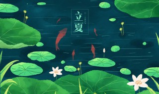 关于立夏编蛋套的作文 立夏编蛋套的作文精选两篇