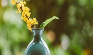 坦然的意思是什么 坦然的意思介绍