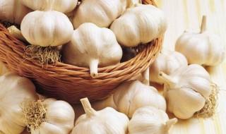 怎样储存大蒜不生虫 储存大蒜不生虫的方法介绍