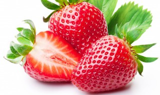 草莓怎样储存不发芽 吃不完的草莓怎样储存不容易变坏