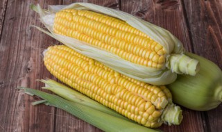 玉米怎样才能储存好 怎样才能储存好玉米