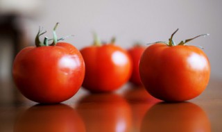 怎样储存黄瓜西红柿 如何储存黄瓜西红柿