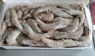 大青虾怎样储存 怎么同样储存大青虾