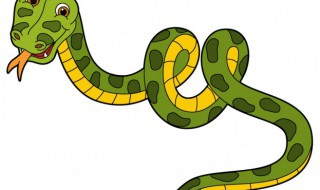 梦见被蛇追着跑是什么意思 梦见被蛇追着跑的寓意