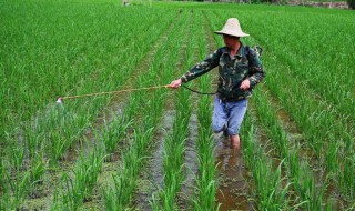 什么是小农意识 小农意识介绍