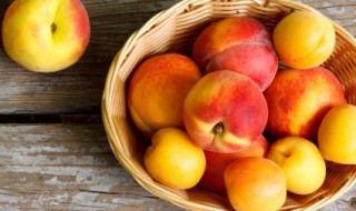 桃子快递怎么包装才能不坏 桃子快递如何包装才能不坏