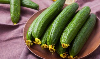 小黄瓜的功效与作用 关于小黄瓜的功效与作用介绍