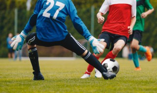 什么叫技术犯规怎样处罚 技术犯规与处罚的介绍