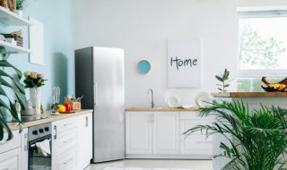 冰箱变频是什么意思 冰箱变频的含义