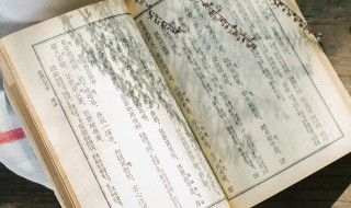 不必法古上一句 不必法古上一句是什么