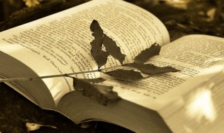 大酬宾是什么意思 大酬宾解释