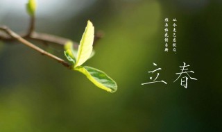 立春祝福朋友圈句子 立春祝福语的朋友圈文案语录