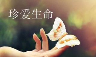 生命的基本特征是什么 生命的基本特征介绍