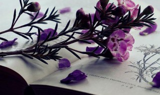 什么是文章的线索 文章的线索介绍