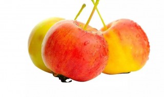 怎样储存沙果保鲜 如何储存沙果