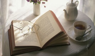 什么主谓关系 主谓关系的解释