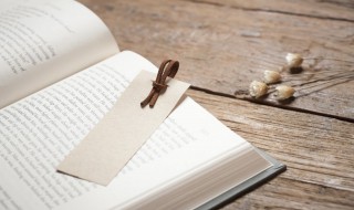 为什么要提出四基 为啥要提出四基