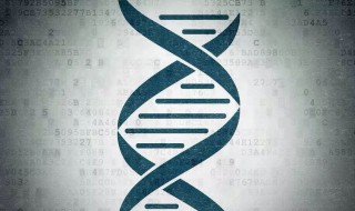 什么是遗传物质 遗传物质简单介绍