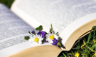 什么是三大合成材料 三大合成材料介绍