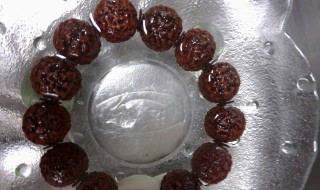 金刚菩提能泡水吗 金刚菩提能不能泡水