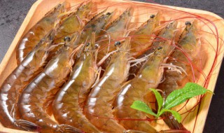 虾是海鲜吗 虾子算不算海鲜