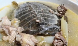 甲鱼胆可以吃吗 甲鱼胆是否可以吃