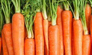 胡萝卜需要削皮吗 胡萝卜需要不需要削皮