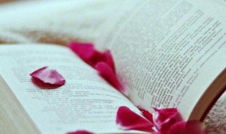 明鉴的意思是什么 明鉴的解释