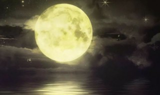 但愿人长久下一句是什么 但愿人长久出自哪里