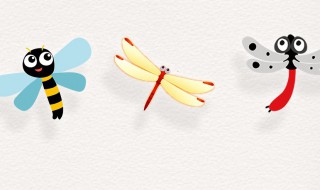 蜻蜓有什么特点 蜻蜓的特点