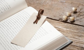 夹杂的意思是什么 夹杂是什么意思