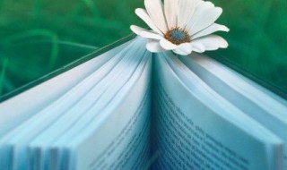 盛情邀请中的盛是什么意思 盛情邀请是什么意思