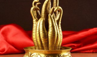 请问日进斗金是什么意思 日进斗金简单释义