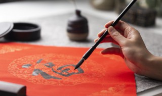 杜处士的处拼音是什么 杜处士的处怎么读