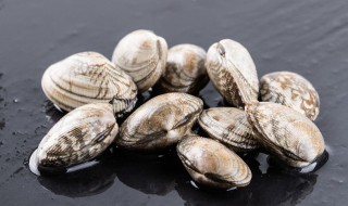 蛤蜊怎样长期储存 蛤蜊长期储存的方法