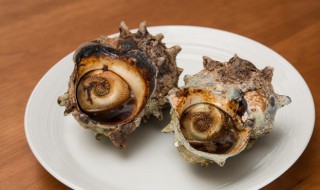 大香螺怎样储存方法 大香螺如何储存