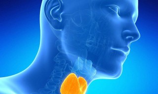 甲功八项是什么 甲功八项简单介绍