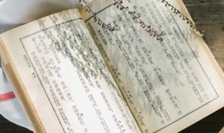 吴广以为然的然是什么意思 吴广以为然的然的意思是什么