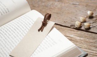 一路向阳静候花开这句话是什么意思 一路向阳静候花开含义