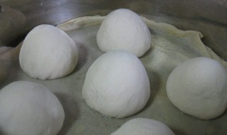 蒸豆包需要多长时间 蒸豆包需要的时间介绍