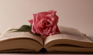 春望原文及翻译注释 春望原文详细注释