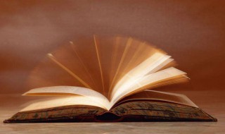 象形字是什么意思 象形字解释