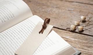 沉香如屑小说简介 关于沉香如屑的小说简介