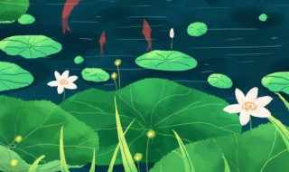 夏天文艺小清新句子 适合夏天发的小清新句子