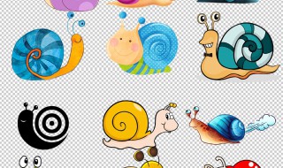 蜗牛吃什么食物呢 蜗牛吃什么食物