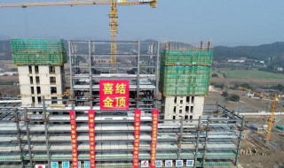 结顶是什么意思 结顶的含义