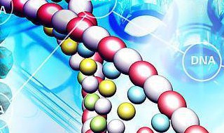 基因是什么意思 基因的意思是什么