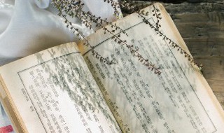 滥竽充数的滥是什么意思 滥竽充数出处